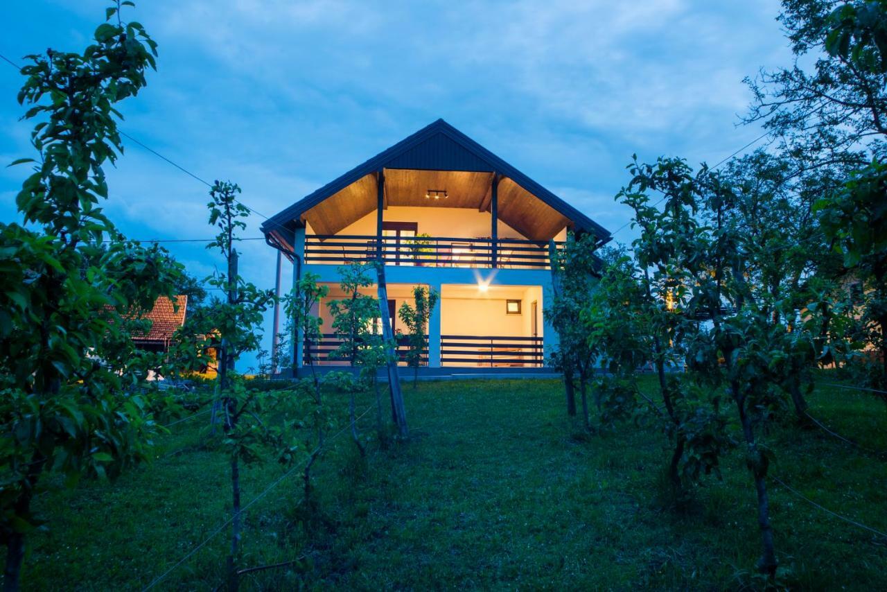 Holiday Home Dandelion Cetingrad Exterior foto