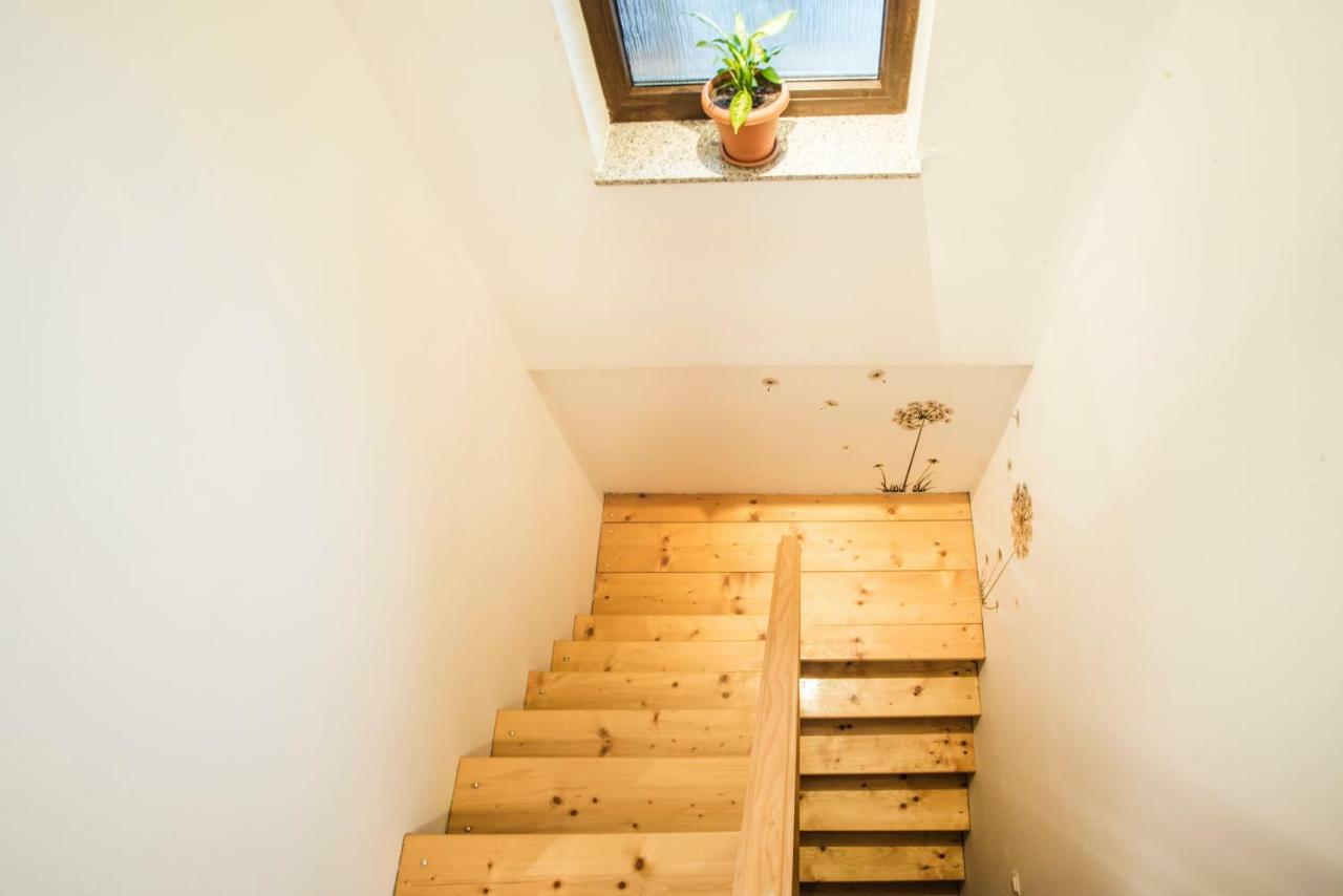 Holiday Home Dandelion Cetingrad Exterior foto